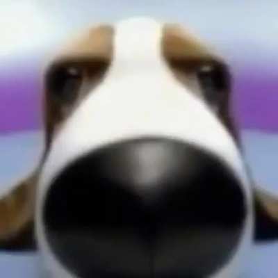 dog