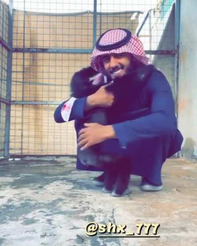 🇮🇷🤝🇸🇦
