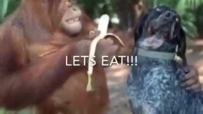 Finally the wait is over it’s funky monkey Friday