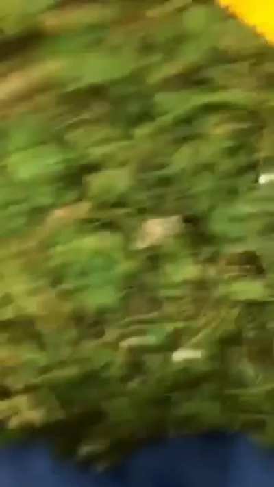Did a slip and slide with my flatmates. I “christened” it but accidentally stopped recording in the jump. After watching back over I realised it was pretty much perfectly cut
