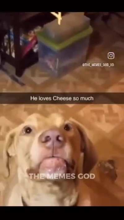 cheese dog
