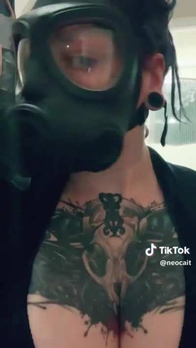 More from Neocait!