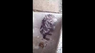 shower rat :D