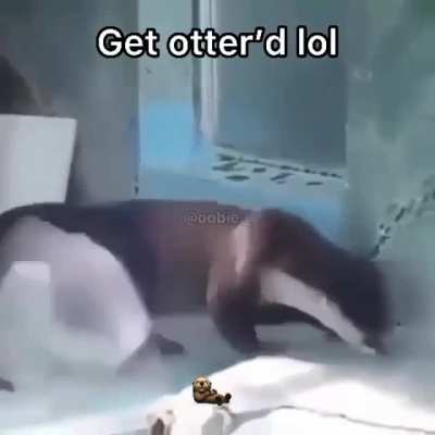 Hehhe