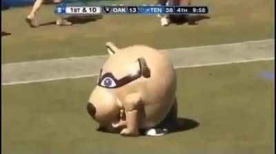 mascot_irl