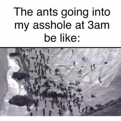 I think it belongs here