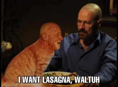 kid named garfield