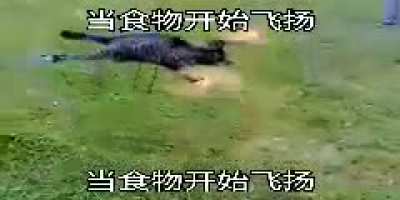 The Chinese kid in robotics class: