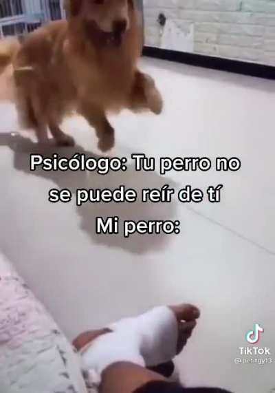 KEKW 🤣