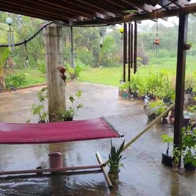 Morning rain