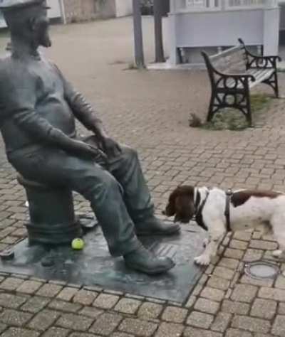 Go fetch