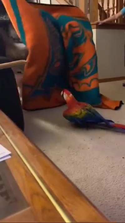 wait till the end