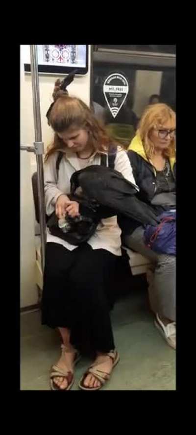Crow Lady inside Moscow Metro