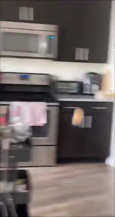 I guess the cat wasn’t clawful enough