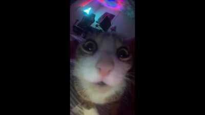 O bapo vendo o felps jogar beat saber catJAM