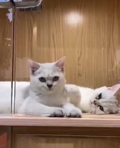 Touch the cheek