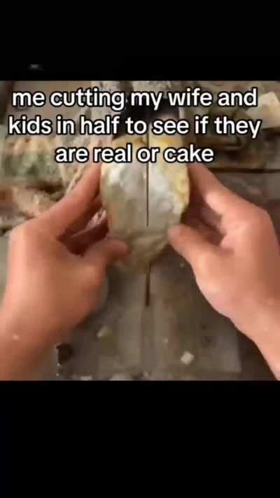 Real or cake?