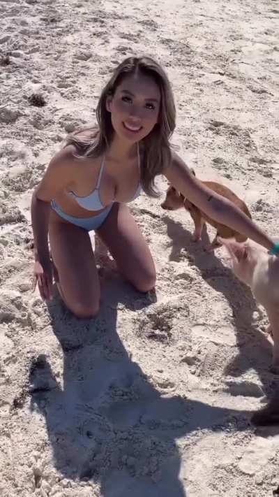 Playing with pigs