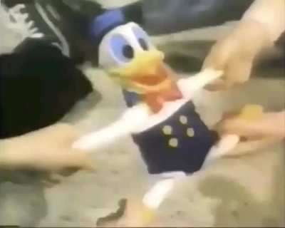 Last known footage of Donald Duck