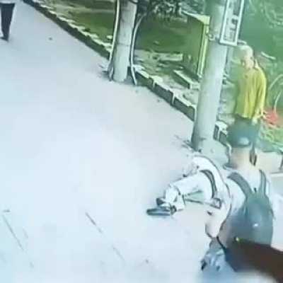 Gato cai do céu e nocauteia senhor, chega o cachorro de sapato pra cobrar o vacilo