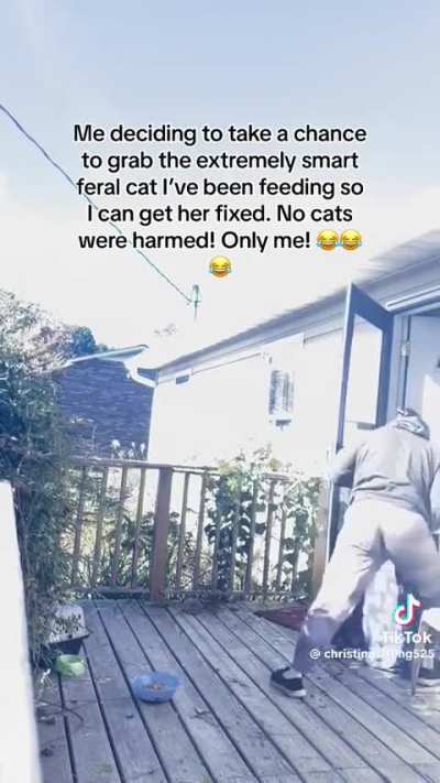 Cat vs Human.