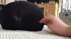 Can You Stop With That Please, Human?