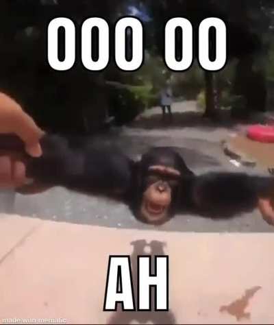 Monkee