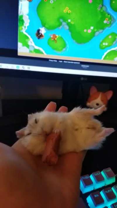 gaming buddy
