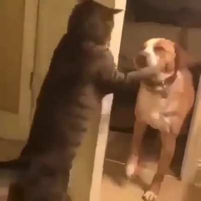 Out!