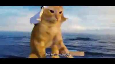 Muslim cat official music video (not oc)