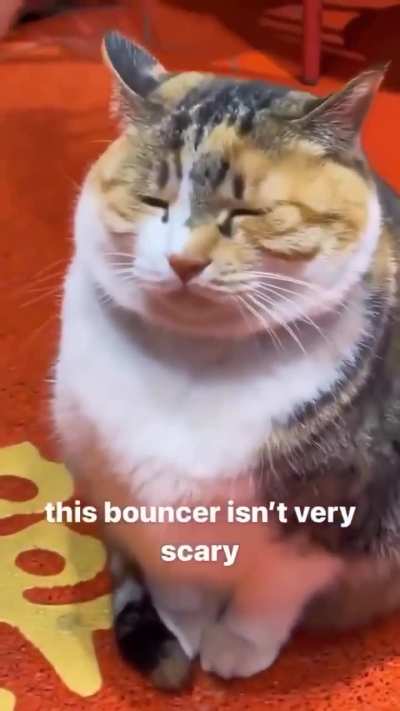 Bouncing or Bouncer?