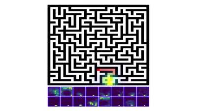 The Continuous Thought Machine: A brilliant example of how biology can still inspire AI