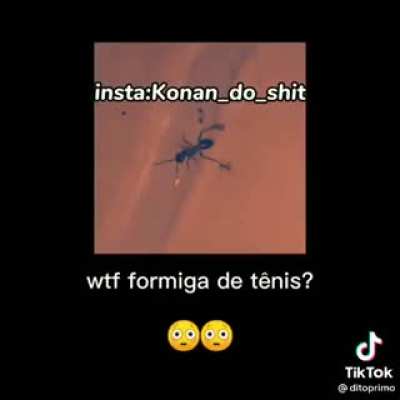 Wtf