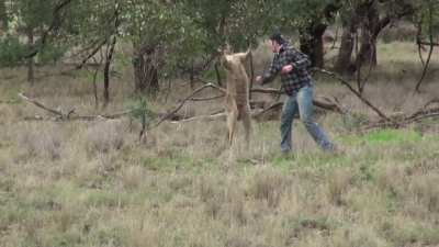 Big 'Roo has his world rocked by hero bloke