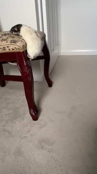 BOING