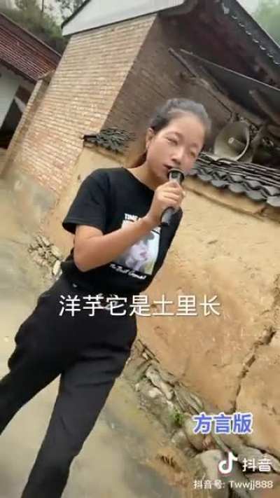甘肃洋芋
