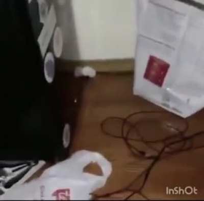 Ten cuidado Moai :0