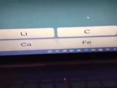 wordington education