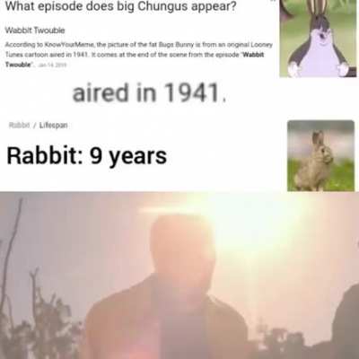 wholesome 0