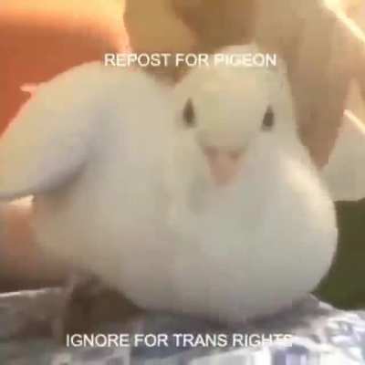 you better repost it