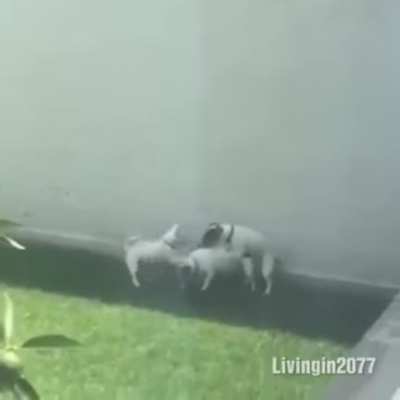 Мальч<wbr>ишник в Вегасе