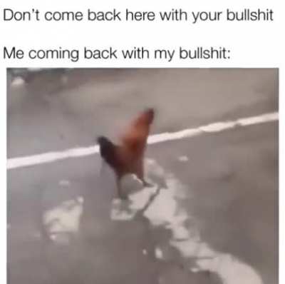 moldy chicken