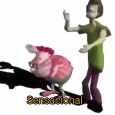 sensacional