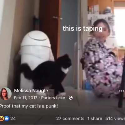 No witnesses