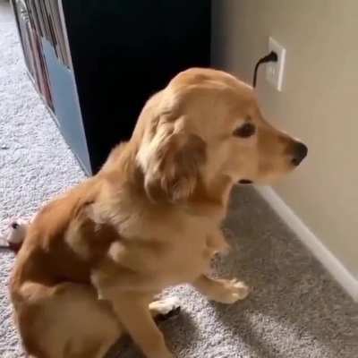 He realized he messed up.