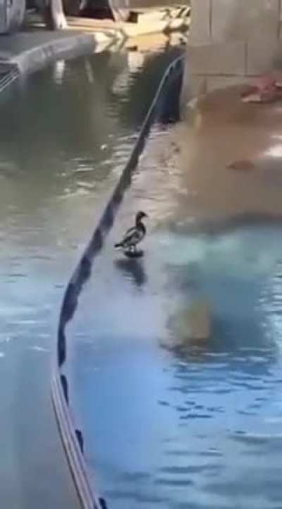 se esvaiu