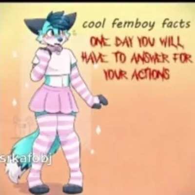 pinches furros