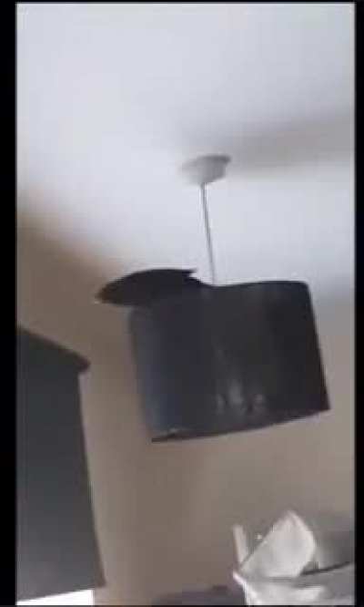 bird's man....