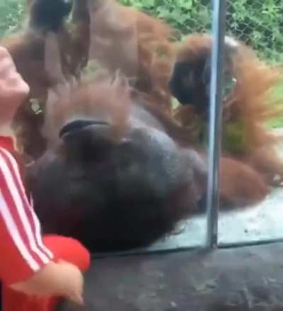 This unexpected friendship :)