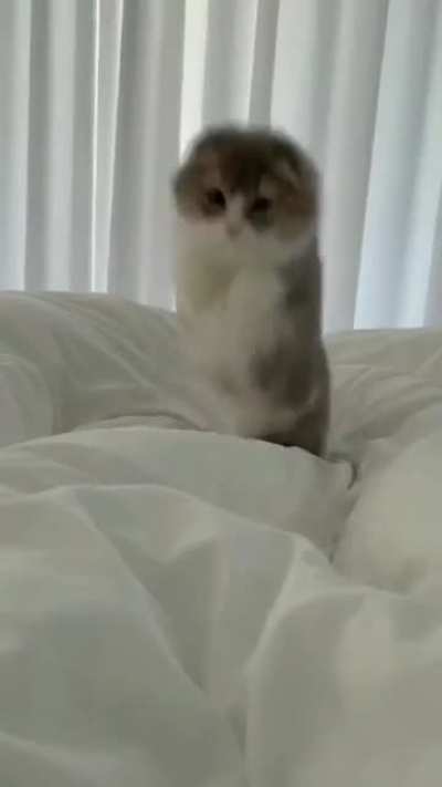 jump, jump!